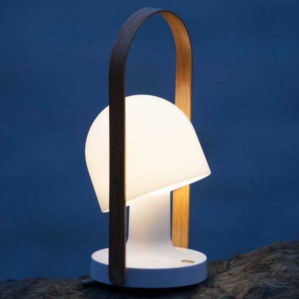 follow me portable lamp