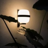 Home Lighting - Wally wall light